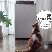 为让三只小猫舒适度夏，这个618我果断剁手美的变频移动空调