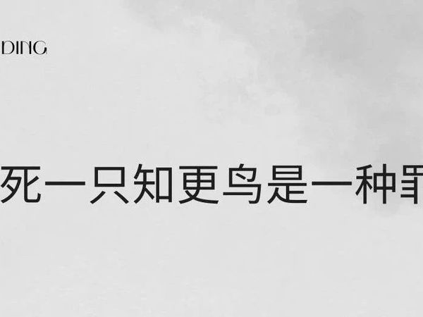每日读书|《杀死一只知更鸟》哈珀·李