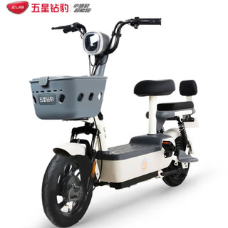 五星钻豹电动车，开启绿色出行新体验