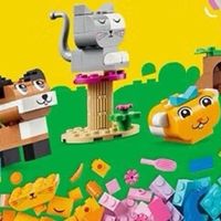 618乐高品牌推荐：精选套装，开启创意拼搭之旅