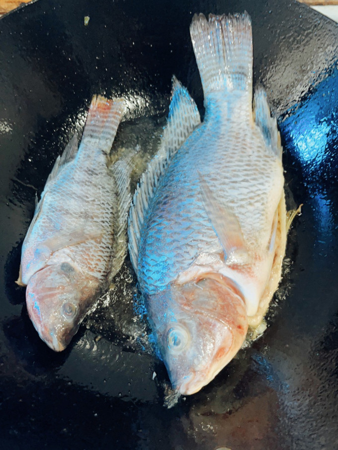 鱼食/鱼饵