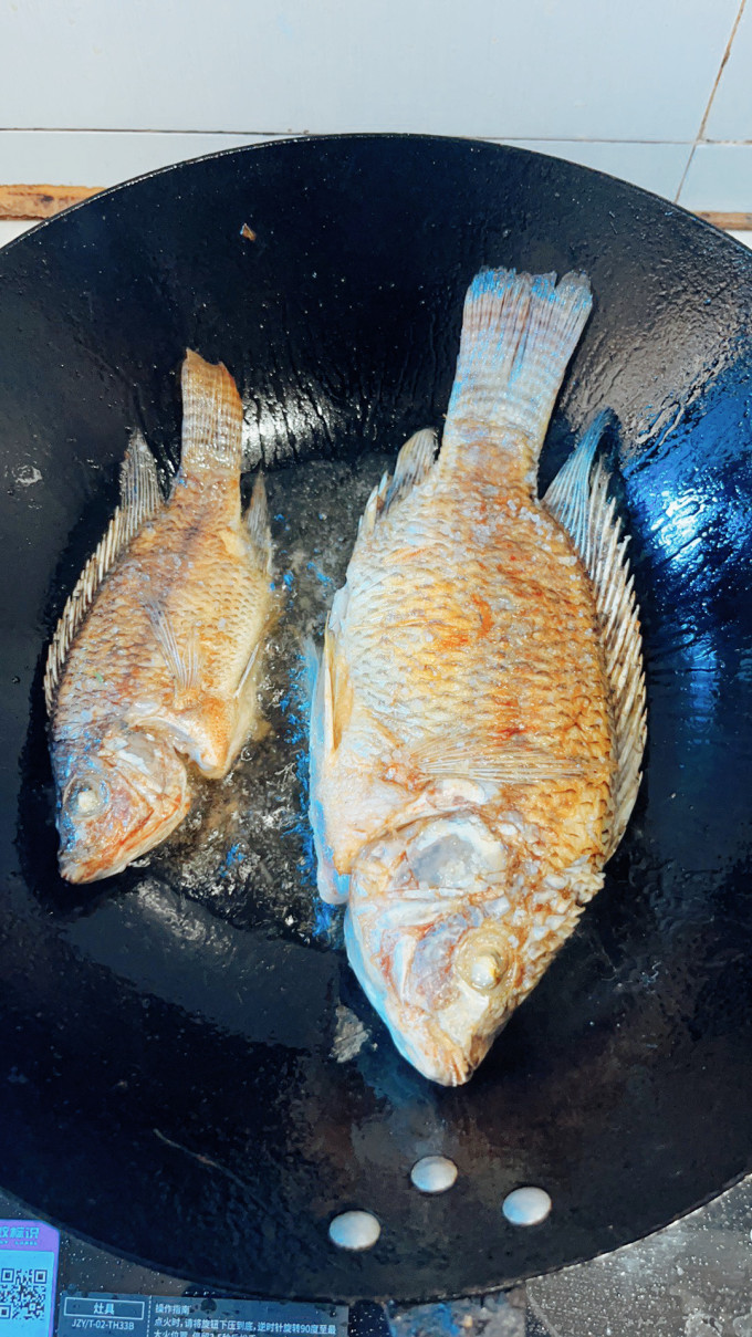 鱼食/鱼饵
