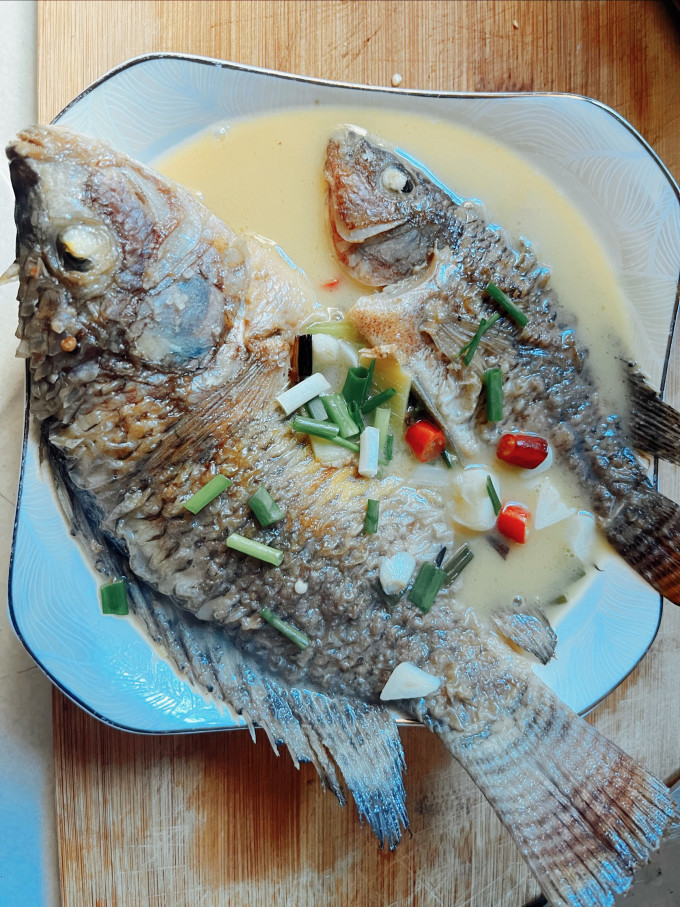 鱼食/鱼饵