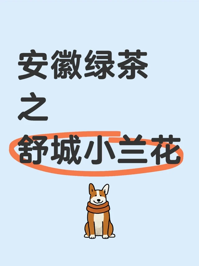 安徽绿茶之舒城小兰花