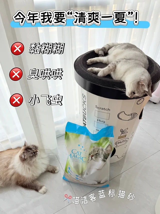 适配夏日空调房的懒人宝藏猫砂！