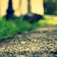 给家一个清新‘深呼吸’！