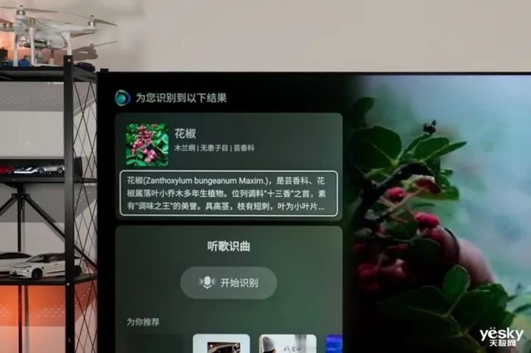 海信小墨E5Q Pro评测：AI赋能画质与体验升级，客厅秒变世俱杯赛场