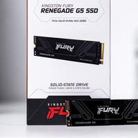 4PB寿命旗舰！Kingston FURY Renegade G5评测：性能与耐久双巅峰