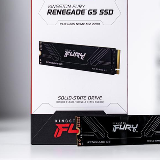 4PB寿命旗舰!Kingston FURY Renegade G5评测:性能与耐久双巅峰