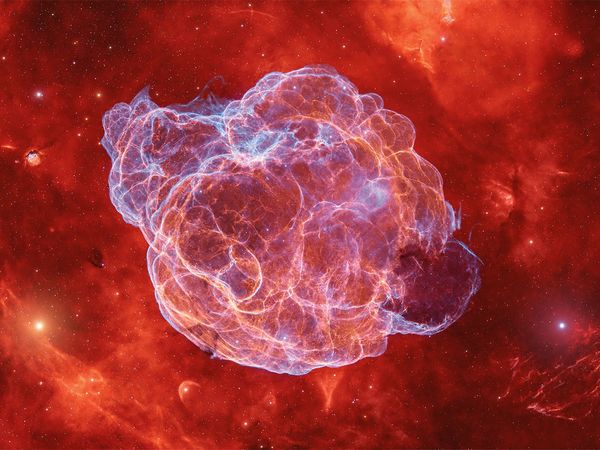 #天文 #天文摄影 #星云
目标:意大利面星云(Spaghetti Nebula)
望远镜: Askar FMA180 Pro
相机: ZWO ASI2600MM Pro
赤道仪: ZWO AM5