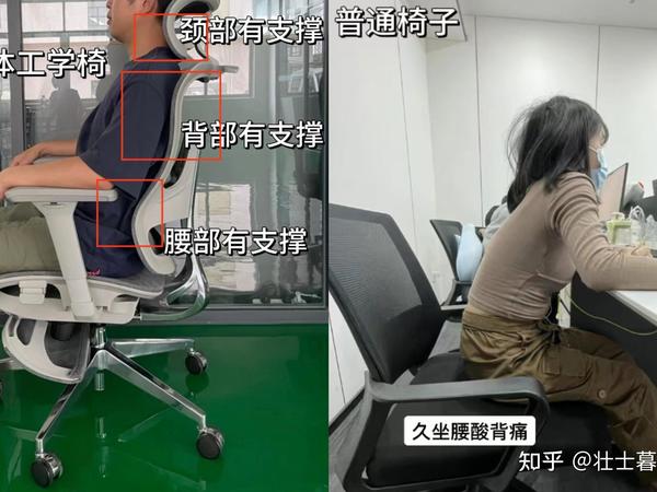 【618买前必看】久坐党有必要入人体工学椅吗？火爆全网的黑白调P2、西昊M59AS、京造Z9 Smart、网易严选s9 Pro，哪款才是千元内品质天花板？