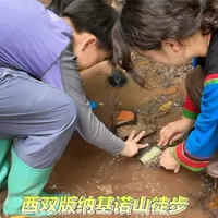 搞笑二人转全集