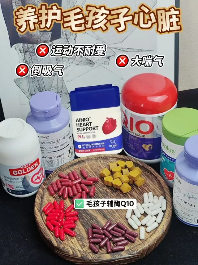 毛孩子心脏健康守护者！辅酶Q10养宠人必囤