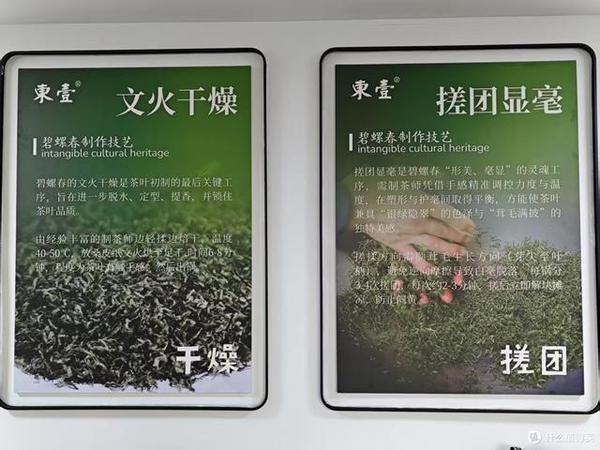 到洞庭山东山岛喝茶；洞庭碧螺春的进一步研究
