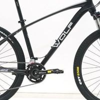 1899的跑狼硬核300plus​性价比超高