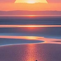 无糖无汽青柠檬苏打水，夏日必备！