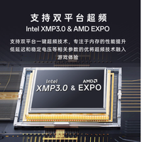 十铨炫光DDR5内存条——为台式机注入梦幻光彩与极致性能