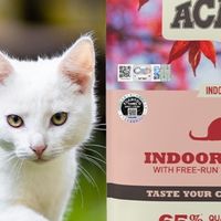 宠物食品大比拼：猫狗粮、零食、营养品，哪些品牌值得囤？