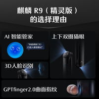 德施曼麒麟 R9 精灵版：开启智能锁新时代