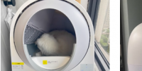 2025热门千元自动猫砂盆品牌横测_新手养猫指南