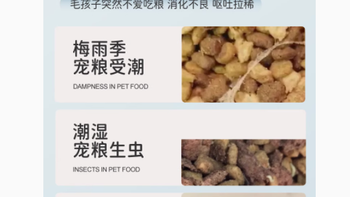柒哦宠物用品专营店：猫宠物粮硅藻土干燥条与储粮桶的完美组合