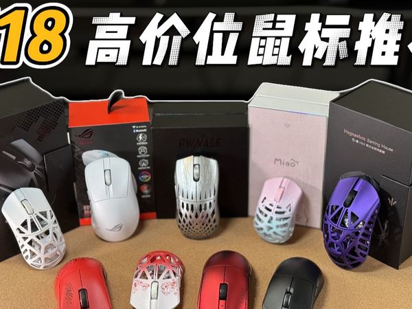 【2025 618鼠标推荐】高价位鼠标 一步到位 光微动还是机械微动，看完就知道如何选择了！