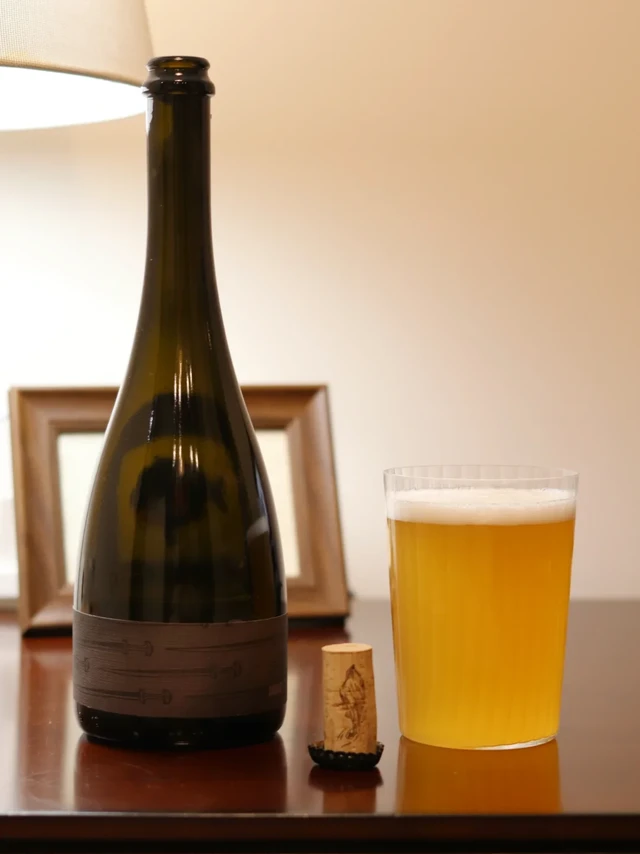 面纱 旷野 佐餐啤酒