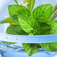 夏日防蚊大作战！户外+居家必备的防蚊好物清单来啦。