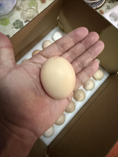 听说生食鸡蛋是智商税，所以只要选新鲜的鸡蛋就好了