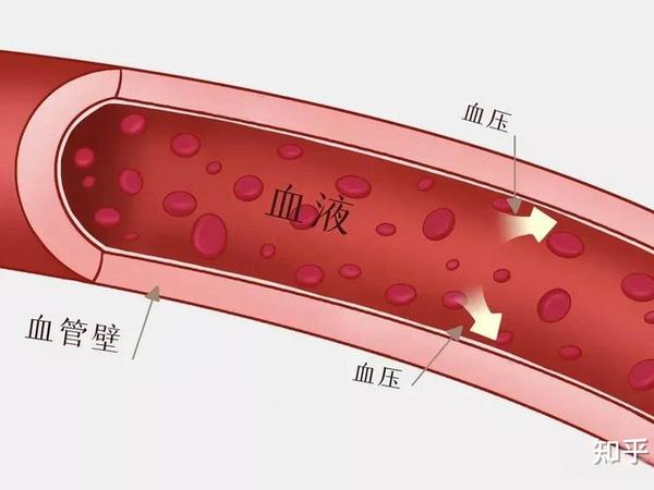 什么事情是你注重养生以后才知道的？