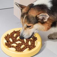 宠物慢食碗：让毛孩子科学进食的秘密武器