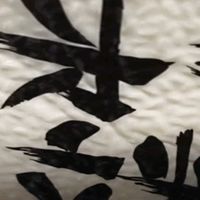 金龙鱼东北长粒香大米：20斤臻选，开启舌尖上的香糯盛宴✨