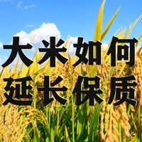 五常大米如何储存才能延长保质期？