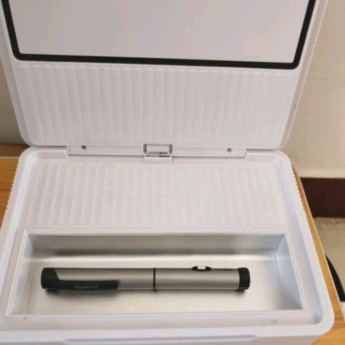 闲鸟车载冰箱