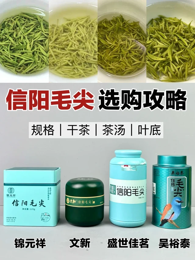 🍵信阳毛尖哪家强？这篇攻略来帮忙！！！