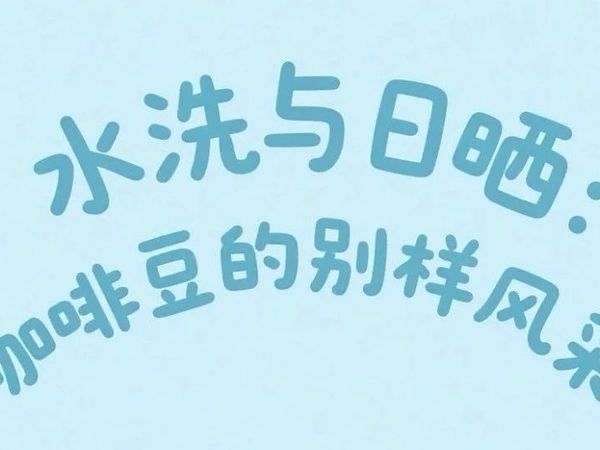 啡知识｜咖啡豆的AB面：水洗VS日晒
