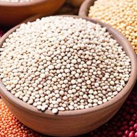 618打工人养生小零食推荐