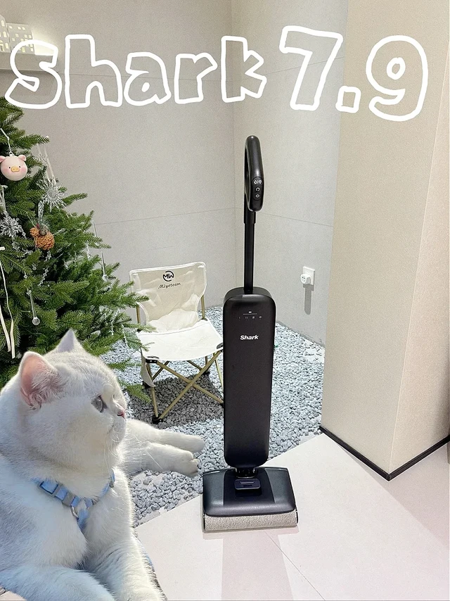 养猫8年，总算找到能治我家猫味的洗地机！