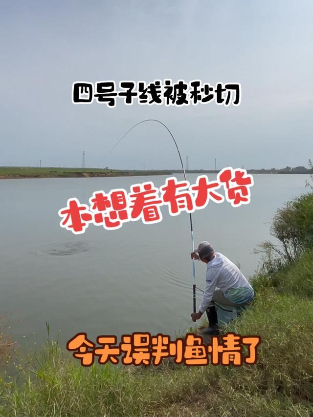 新钓点四号子线被秒切，本想着今天来报仇，结果可能误判鱼情了 #野钓#鱼竿推荐#钓鱼的乐趣只有钓鱼人懂