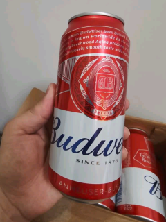 百威啤酒：夜生活的灵魂伴侣！