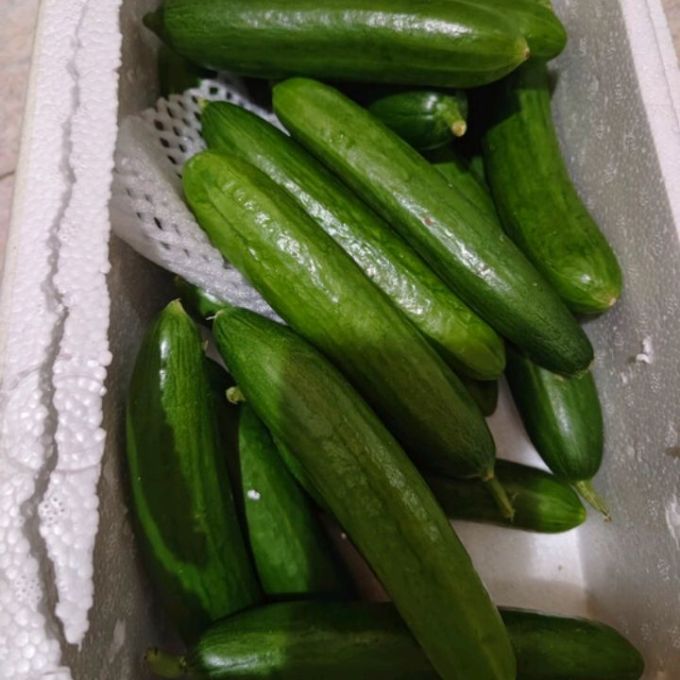 京鲜生蔬菜