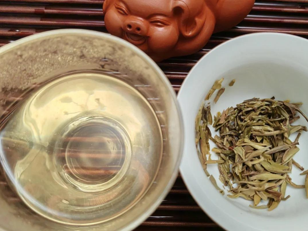 茉莉花茶推荐买哪个？什么样的茉莉花茶比较好？茉莉花茶十大品牌排行榜！