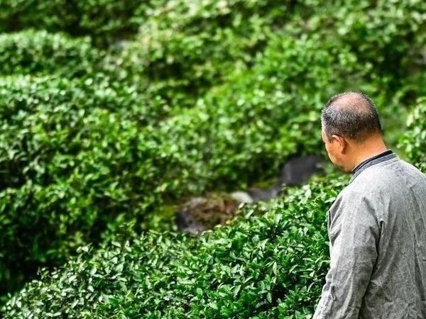 父亲节 | 爱在杯盏，无言，亦深