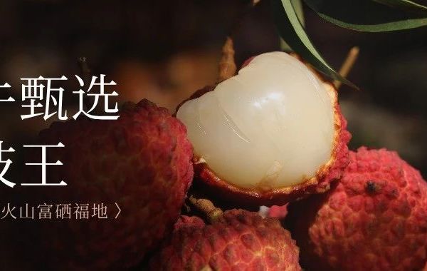 万年火山的馈赠，火山岩荔枝王有多绝？