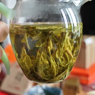 大品牌的自饮龙井茶怎么买；从卢正浩老树龙井分析