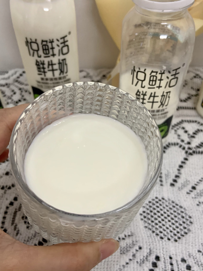 悦鲜活低温牛奶