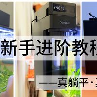 生态缸新手进阶快乐教程，这次真的可以躺平享受了