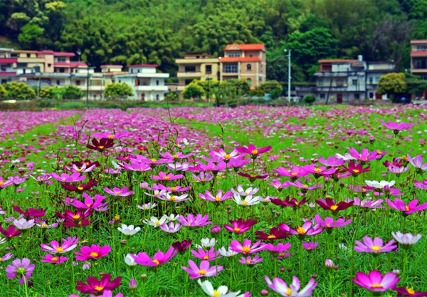 亲子游天花板！花都五一遛娃神地，就去梯面