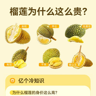 榴莲星人必读：不同品种的口感与特点