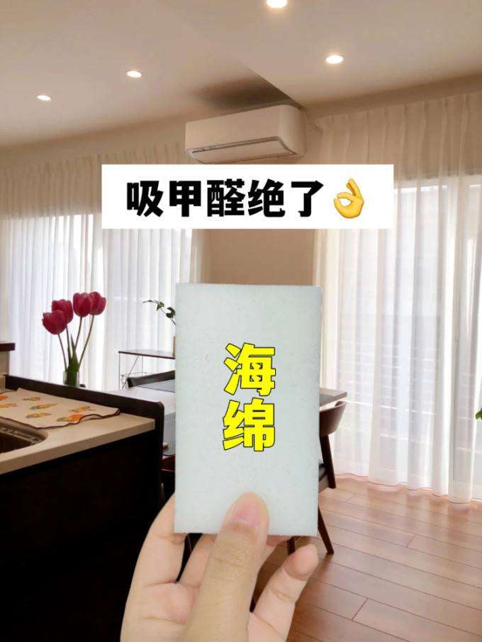 玛雅蓝除醛剂